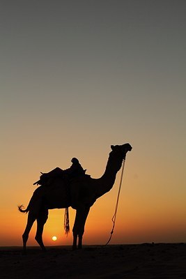 BUITEN BEELD Foto: 164262