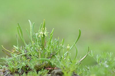 BUITEN BEELD Foto: 164266