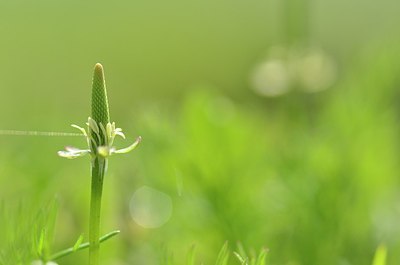 BUITEN BEELD Foto: 164270