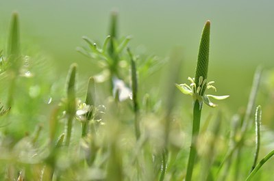 BUITEN BEELD Foto: 164273