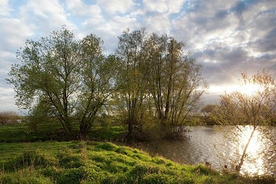 BUITEN BEELD Foto: 164281