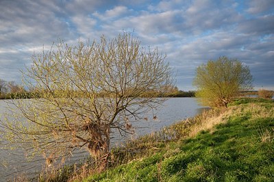 BUITEN BEELD Foto: 164291