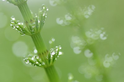 BUITEN BEELD Foto: 164292