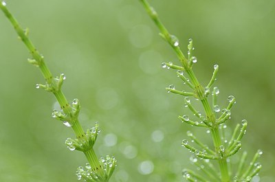 BUITEN BEELD Foto: 164308