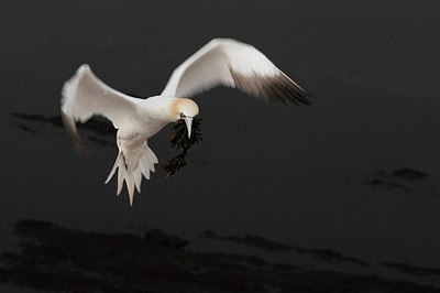 BUITEN BEELD Foto: 164309