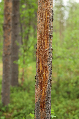 BUITEN BEELD Foto: 164334
