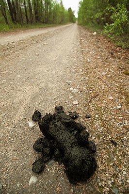 BUITEN BEELD Foto: 164343