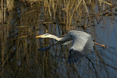 BUITEN BEELD Foto: 164424