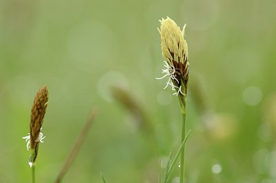 BUITEN BEELD Foto: 164463