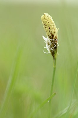 BUITEN BEELD Foto: 164464