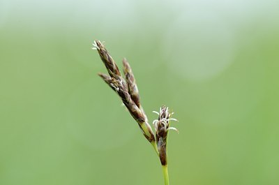 BUITEN BEELD Foto: 164468