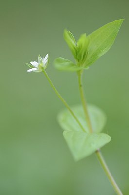 BUITEN BEELD Foto: 164481