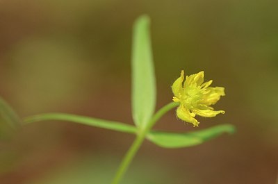 BUITEN BEELD Foto: 164485