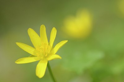 BUITEN BEELD Foto: 164486