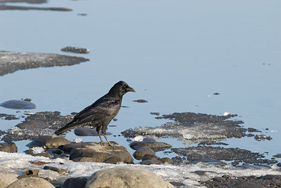 BUITEN BEELD Foto: 164498