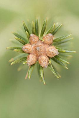 BUITEN BEELD Foto: 164503