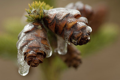 BUITEN BEELD Foto: 164517