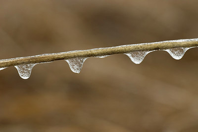 BUITEN BEELD Foto: 164521