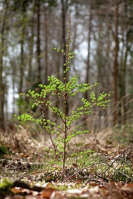 BUITEN BEELD Foto: 164547