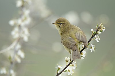 BUITEN BEELD Foto: 164555