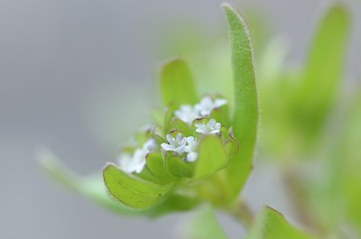 BUITEN BEELD Foto: 164558