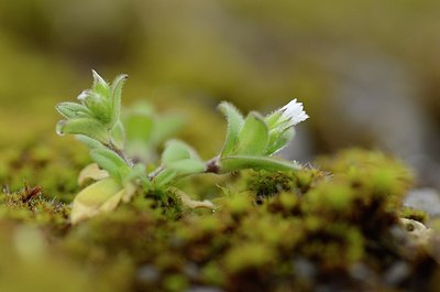 BUITEN BEELD Foto: 164560