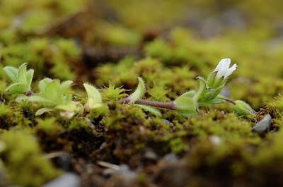 BUITEN BEELD Foto: 164562