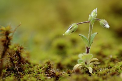 BUITEN BEELD Foto: 164563