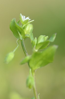 BUITEN BEELD Foto: 164564
