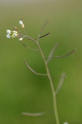 BUITEN BEELD Foto: 164566