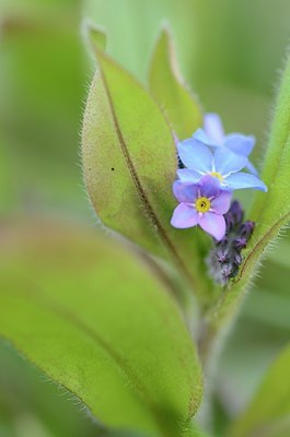 BUITEN BEELD Foto: 164568