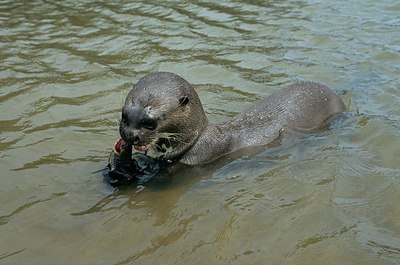 BUITEN BEELD Foto: 164642