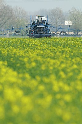 BUITEN BEELD Foto: 164647
