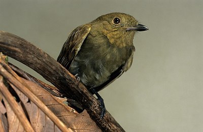 BUITEN BEELD Foto: 164665