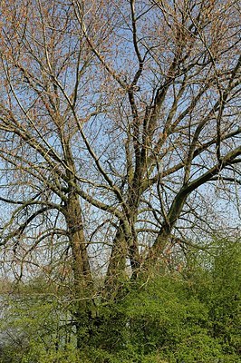 BUITEN BEELD Foto: 164800