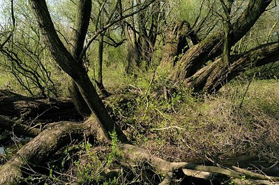 BUITEN BEELD Foto: 164801