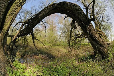 BUITEN BEELD Foto: 164803