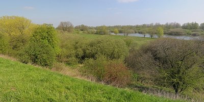 BUITEN BEELD Foto: 164816