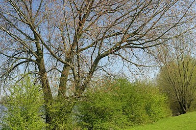 BUITEN BEELD Foto: 164818