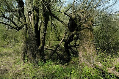 BUITEN BEELD Foto: 164822