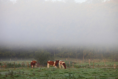BUITEN BEELD Foto: 164837