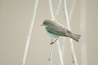 BUITEN BEELD Foto: 164865
