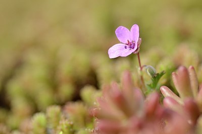 BUITEN BEELD Foto: 164871