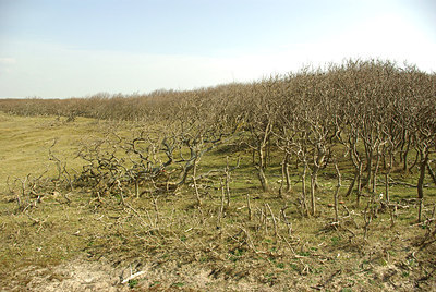 BUITEN BEELD Foto: 164885