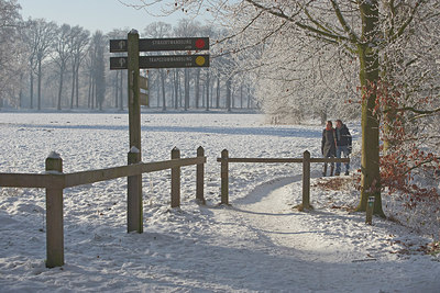 BUITEN BEELD Foto: 164923