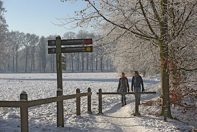 BUITEN BEELD Foto: 164925