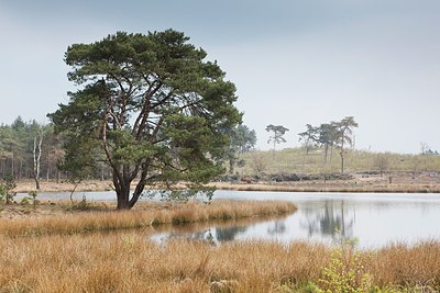 BUITEN BEELD Foto: 164929