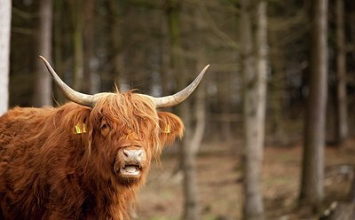 BUITEN BEELD Foto: 164931