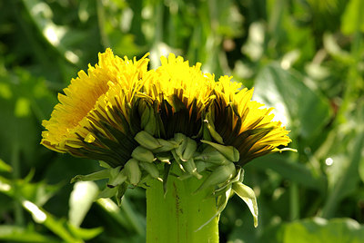 BUITEN BEELD Foto: 164933