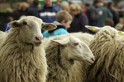 BUITEN BEELD Foto: 164947
